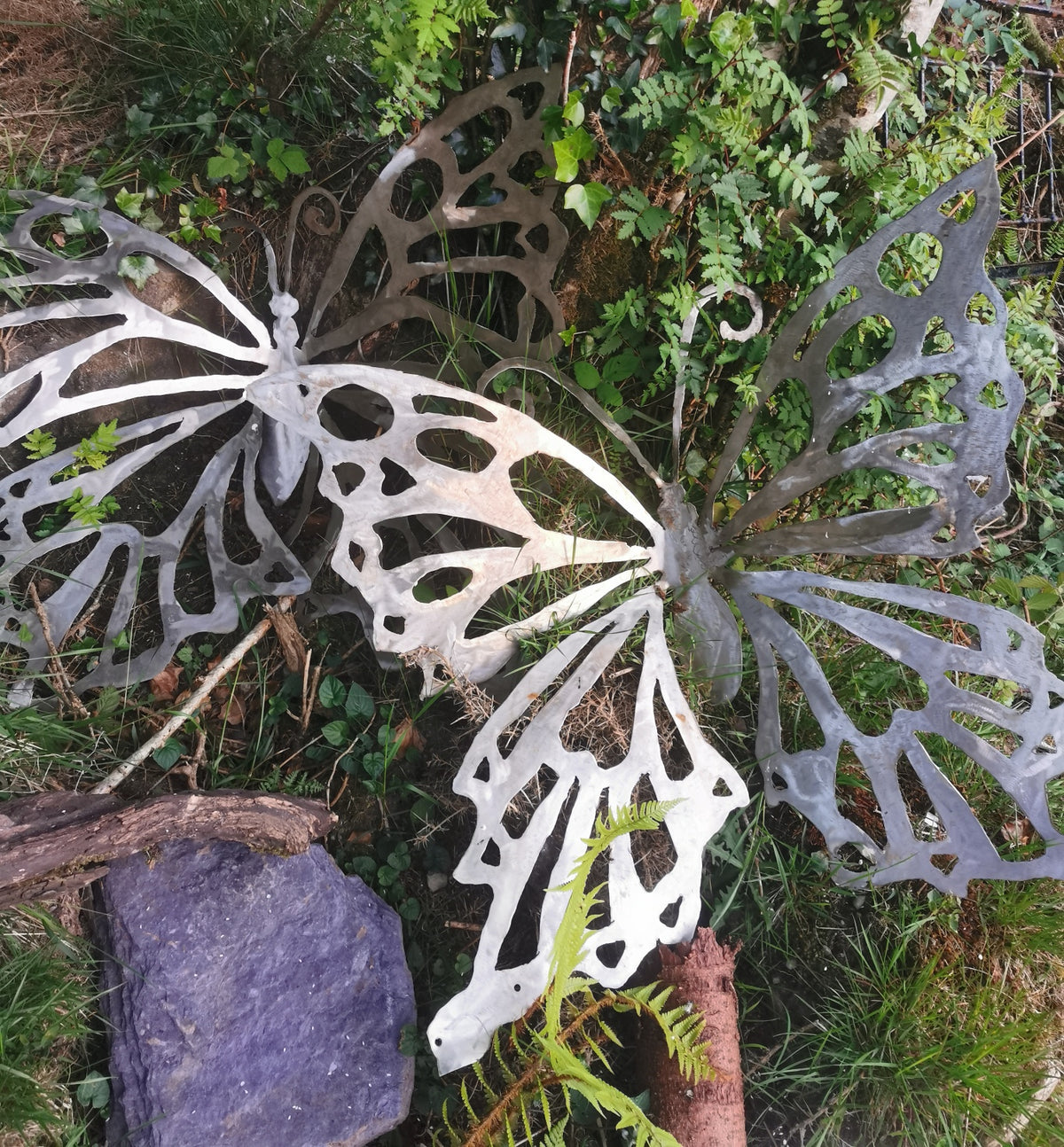 Two large Stainless steel metal butterfly garden sculptures in a natural outdoor setting with grass, leaves designed and freehand cut by helzie 
